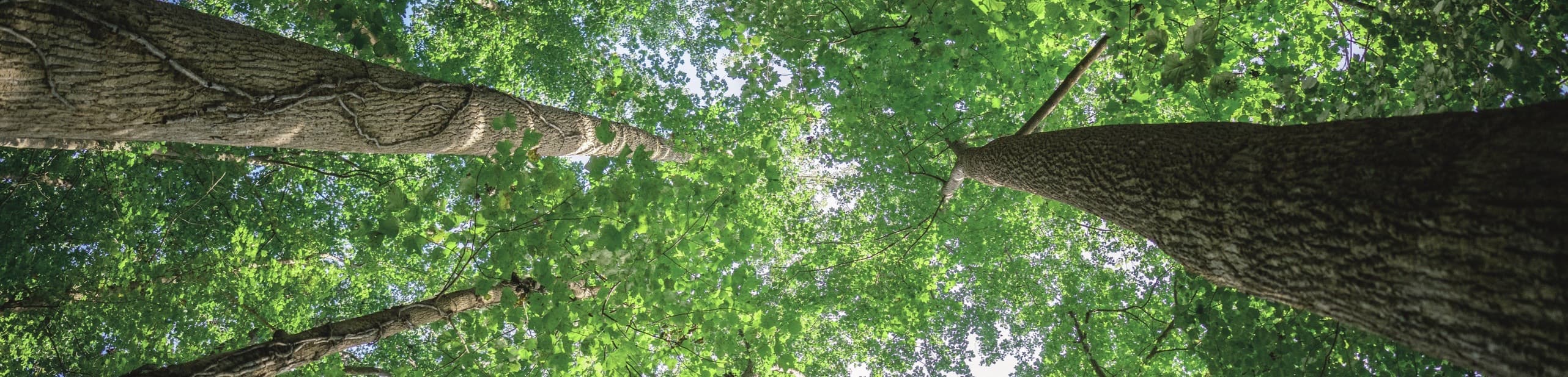 pp������Ϸ����(�й�)�ٷ���վ