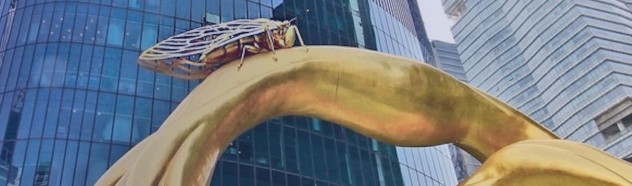 pp������Ϸ����(�й�)�ٷ���վ